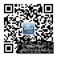 英超改革显,成效时间浪,费减少,熊猫体育,熊猫体育下载,版本更新